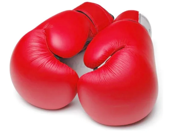 Lapik Buih Sarung Tangan Tinju